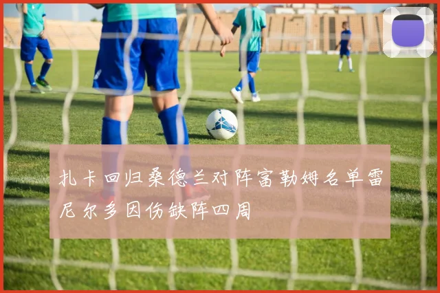 扎卡回归桑德兰对阵富勒姆名单雷尼尔多因伤缺阵四周