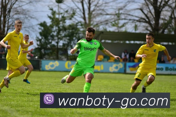 万博体育平台生态图